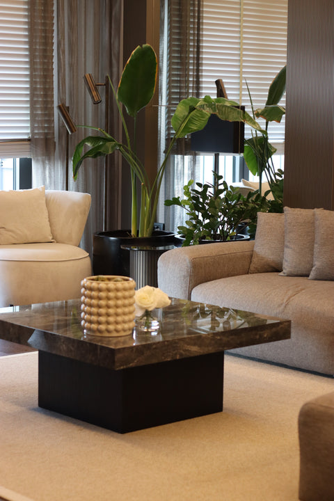 Smooth Coffee Table