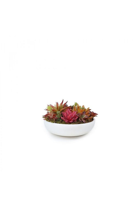 White Marble Bowl with Artificial Succulent Flowers